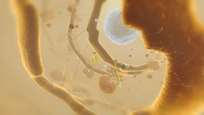 포토 JPG 해외이미지 디자인 과학 컨셉 패턴 인터넷 신체 일러스트 추상 미래 세포 건강 병원 실험 사람 사람없음 그래픽 파란색 약 건강관리 디지털 진화 바이러스 암호 DNA 생명공학 생물학 함선 원자 염색체 시스템 암 바이오 엘리먼트 인터페이스 가상 코로나바이러스 해외202309 해외포토 교육 컬러 무늬 배_교통 의학 관리 질병 소방 파일형식