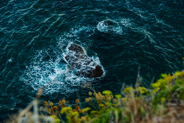 포토 JPG 해외이미지 나무 공원 파도 바다 여행 백그라운드 무지개 자연 휴가 주택 풍경 사람없음 야외 건물 초록색 물 여름 강 태양 뷰티 골짜기 계곡 거품 폭포 흐름 가을 바위 연못 도시 보트 개울 떨어짐 지중해 휴양지 타운 칠면조 랜드마크 해외202309 해외포토 자연요소 식물 건축물 계절 공공시설 컬러 컨셉 배_교통 조류 장소 돌_바위 생태계 파일형식