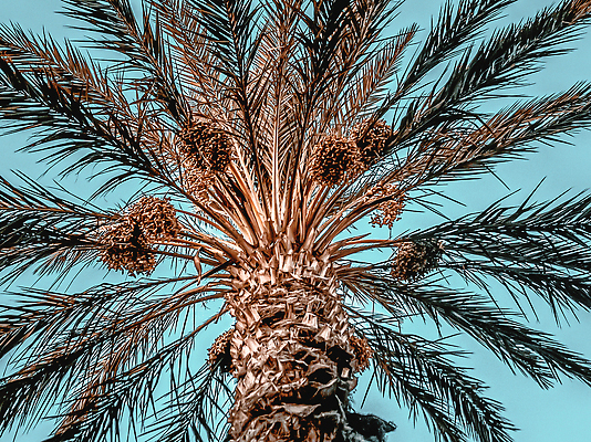 포토 JPG 해외이미지 실루엣 도로 파도 여행 곡선 호텔 휴식 천사 사람없음 햇빛 평화 환경 미국 침묵 광선 뜨거움 서핑 그룹 재산 고급 기름 큼 탈출 캘리포니아 태평양 자원 이웃 석호 몰디브 로데오 대각선 할리우드 강렬 원자재 줄서기 파라다이스 해외202309 해외포토 아시아 길 선 음식 바다 컨셉 북아메리카 교통시설 모션 숙소 촬영기법 금융 태양 소리 수상스포츠 크기 로스앤젤레스 파일형식