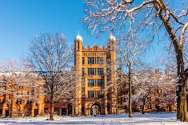 포토 JPG 해외이미지 나무 공원 여행 건축양식 졸업 벽돌 잉글랜드 새로움 사람없음 야외 초록색 미국 수확 가을 도시 도심 대학교 복고 아이비 일반 랜드마크 옛날 해외202309 해외포토 식물 계절 공공시설 교육 건축 컬러 컨셉 북아메리카 농업 학교 영국 파일형식