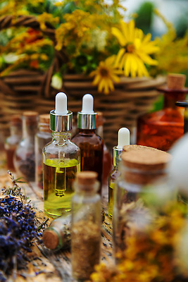 포토 JPG 해외이미지 꽃 유리병 사람없음 바구니 약초 공병 해외202309 해외포토 식물 병_용기 풀_식물 병_담는 파일형식