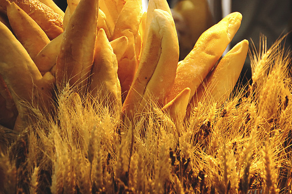 포토 JPG 해외이미지 전통 음식 빵 백그라운드 재료 건강 사람없음 농작물 농장 갈색 빵집 시골 황금 상품 낟알 시리얼 밀 굽기 유기농 흙더미 건강식 내추럴 핸드메이드 맛있는 해외202309 해외포토 웰빙 컬러 농업 곡류 상점 흙 구이 파일형식 더미