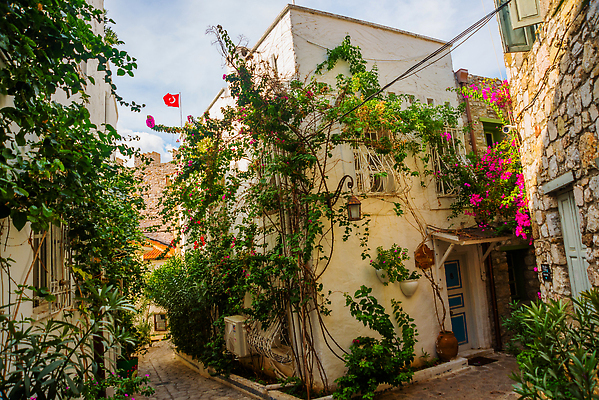 포토 JPG 해외이미지 전통 외관 꽃 유럽 벽 여행 백그라운드 건축양식 창문 휴가 출입구 거리 주택 사람없음 야외 건물 목재 세로 초록색 여름 파란색 여행객 문 마을 정원 수확 골동품 바위 시골 도시 도심 지중해 묘사 질감 복고 안락의자 칠면조 랜드마크 옛날 스타일 해외202309 해외포토 나무 식물 건축물 계절 건축 나라 바다 컬러 농업 의자 재료 조류 사람 돌_바위 파일형식