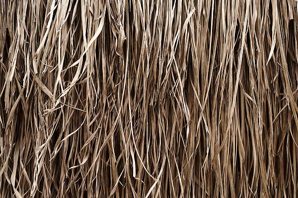 포토 JPG 해외이미지 식물 벽 백그라운드 잎 패턴 자연 벽지 표면 지붕 건조 사람없음 장식 갈색 노란색 매트 시골 볏짚 묘사 유기농 질감 섬유 밀짚 내추럴 해외202309 해외포토 웰빙 컬러 무늬 직물 짚 생태계 파일형식