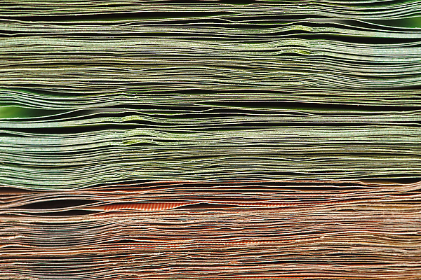 포토 JPG 해외이미지 종이 백그라운드 컨셉 지폐 돈 비즈니스 사람없음 옆모습 금융 경제 쌓기 우주 달러 쪽지 저축 유로 성장 우승 재산 큼 투자 결제 흙더미 제비 계산서 수입 해외202309 해외포토 뷰포인트 모션 조류 흙 최고 크기 파일형식 더미