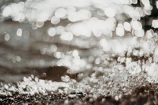 포토 JPG 해외이미지 디자인 배너 계절 파도 바다 컬러 여행 백그라운드 패턴 모션 자연 하늘 표면 추상 휴가 불꽃 사람없음 물 여름 파란색 빛 햇빛 태양 뷰티 일출 맑음 스파 일몰 봄 수확 황금 소프트포커스 질감 복고 보케 광 블러 해외202309 해외포토 자연요소 무늬 농업 불 날씨 촬영기법 노을 생태계 파일형식