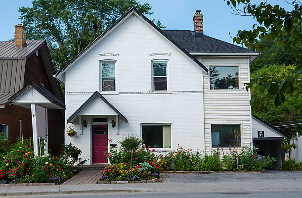 포토 JPG 해외이미지 식물 디자인 꽃 벽 창문 자연 영국 잉글랜드 주택 사람없음 야외 건물 초록색 뷰티 장미 정원 성장 개화 원예 화단 해외202309 해외포토 건축물 유럽 컬러 취미 생태계 파일형식