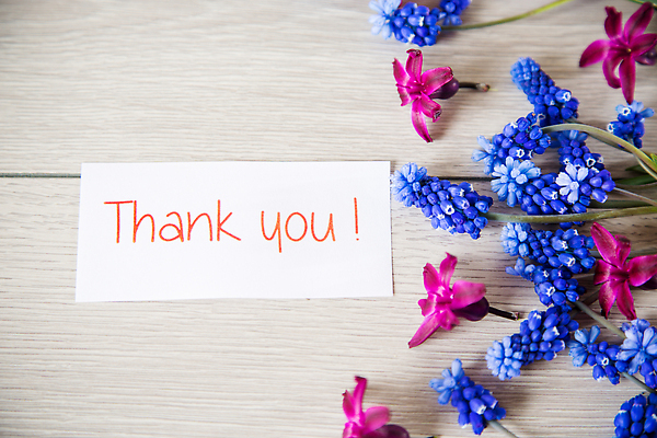 포토 JPG 해외이미지 식물 배너 계절 꽃 종이 분홍색 꽃다발 백그라운드 잎 꽃무늬 텍스트 자연 휴가 프레임 선물 사람없음 목재 장식 파란색 컬러풀 뷰티 우주 정원 봄 공백 회색 흰색 시골 축하 인사 신선 신용카드 개화 다발 제비꽃 감사 엽서 초대 사프란 히아신스 국경 비어있는 해외202309 해외포토 나무 감정 컬러 컨셉 무늬 재료 금융 예절 편지 향신료 생태계 파일형식