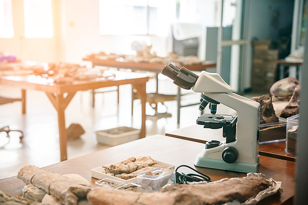 포토 JPG 해외이미지 동물 문화 모래 과학 유적 뼈 골격 실내 사람없음 세트 장비 탐험 골동품 바위 도구 붓 업무 역사 땅 모험가 발굴 과학자 공룡 사냥 먼지 화석 고생물 지하 선사시대 발견 고고학 땅바닥 땅파기 옛날 지질학 해골모형 해외202309 해외포토 직업 전통 교육 파충류 생물 바닥 내부 모형 돌_바위 작업 학자 파일형식