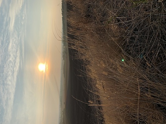 포토 JPG 해외이미지 식물 디자인 계절 공원 꽃 분홍색 컬러 꽃다발 결혼 백그라운드 잎 꽃무늬 패턴 자연 벽지 하늘 아침 건강 사람없음 장식 여름 파란색 컬러풀 뷰티 정원 맑음 봄 수확 성장 벚꽃 흰색 신용카드 개화 허브 묘사 그림 유기농 초대 내추럴 블러 엘리먼트 스타일 해외202309 해외포토 주간 웰빙 공공시설 무늬 농업 날씨 이벤트 금융 생태계 파일형식
