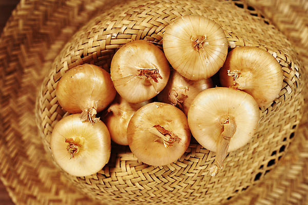 포토 JPG 해외이미지 스튜디오촬영 계절 음식 백그라운드 채소 재료 양파 건강 요리 사람없음 갈색 이탈리아음식 맛 정상 향료 생식 식용 정물화 채식주의자 맛있는 해외202309 해외포토 컬러 컨셉 서양음식 실내 그림 채식 향기 냄새 파일형식