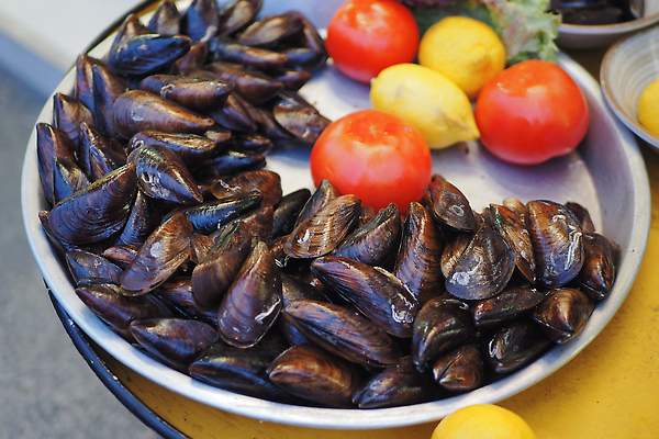 포토 JPG 해외이미지 바다 건강 요리 사람없음 식당 검은색 저녁식사 신선 지중해 먹기 해산물 홍합 점심식사 맛있는 해외202309 해외포토 컬러 모션 어패류 상점 식사 파일형식