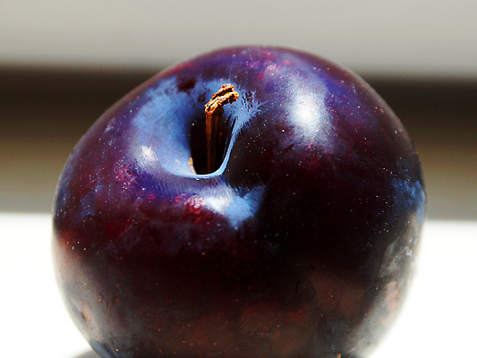 포토 JPG 해외이미지 1 디자인 음식 백그라운드 잎 다이어트 과일 재료 자연 디저트 건강 사람없음 가로 빨간색 여름 파란색 햇빛 보라색 흰색 신선 그룹 달콤 맛 자르기 유기농 날것 자두 숙성 엘리먼트 맛있는 해외202309 해외포토 식물 웰빙 계절 컬러 컨셉 모션 태양 생태계 파일형식