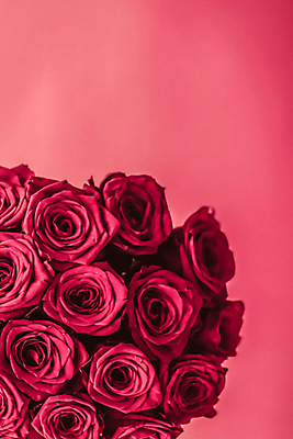 포토 JPG 해외이미지 분홍색 꽃다발 근접촬영 사람없음 장미 로맨틱 해외202309 해외포토 꽃 뷰포인트 컬러 컨셉 파일형식