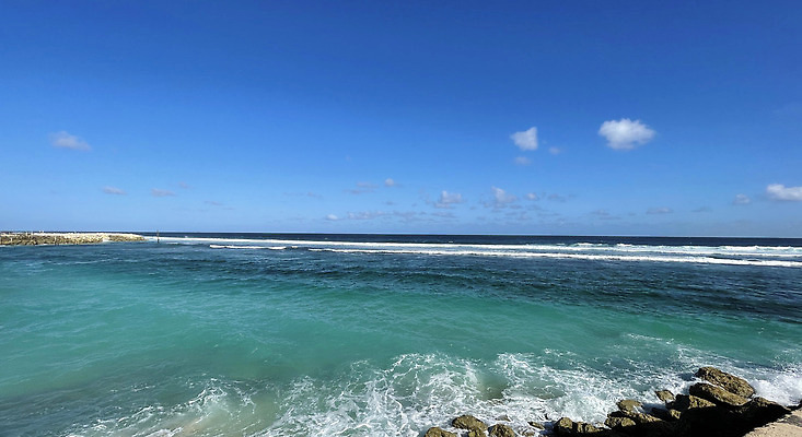 포토 JPG 해외이미지 나무 모래 파도 바다 섬 여행 백그라운드 잎 자연 하늘 휴가 휴식 파노라마 손바닥 사람없음 야외 초록색 물 파란색 태양 뷰티 맑음 침묵 꿈 흰색 만 휴양지 코코넛 석호 몰디브 이국적 터키석 파라다이스 해외202309 해외포토 자연요소 식물 손 아시아 컬러 컨셉 과일 날씨 촬영기법 소리 장소 보석 생태계 파일형식