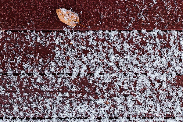 포토 JPG 해외이미지 디자인 계절 길 조각 백그라운드 잎 겨울 자연 벽지 표면 날씨 거리 바닥 사람없음 야외 목재 빨간색 냉동 얼음 추위 흰색 신선 눈송이 보행로 널 갑판 질감 서리 내추럴 폭설 눈내림 카피스페이스 비어있는 해외202309 해외포토 자연요소 나무 식물 컬러 배_교통 재료 눈_날씨 공백 자연재해 생태계 파일형식