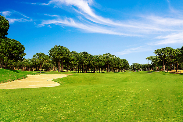 포토 JPG 해외이미지 나무 호수 스포츠 백그라운드 밭 골프 골프장 놀이 하늘 파노라마 잔디 사람없음 초록색 물 파란색 햇빛 태양 맑음 골프채 소나무 강의 클럽 휴양지 칠면조 페어웨이 카피스페이스 비어있는 해외202309 해외포토 자연요소 식물 컬러 농업 스포츠시설 조류 날씨 골프용품 촬영기법 구기 공백 장소 파일형식