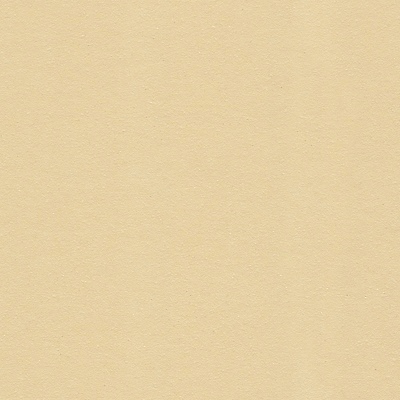 포토 JPG 해외이미지 디자인 종이 벽 컬러 백그라운드 패턴 벽지 표면 추상 미술 사람없음 책 빛 갈색 노란색 축제 손상 수확 황금 낟알 만족 고민 질감 복고 페이지 청동 시트 구김 그런지 옛날 해외202309 해외포토 감정 컨셉 무늬 농업 모션 문화예술 파일형식