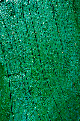 포토 JPG 해외이미지 접시 디자인 외관 벽 컬러 백그라운드 패턴 벽지 표면 날씨 추상 바닥 주택 사람없음 목재 장식 초록색 울타리 페인트 공백 수확 시골 판넬 거친 그리기 널 고민 질감 복고 시들음 구식 그런지 수목 옛날 노화 효과 해외202309 해외포토 나무 식기 감정 컨셉 무늬 농업 재료 모션 건물 담장 파일형식