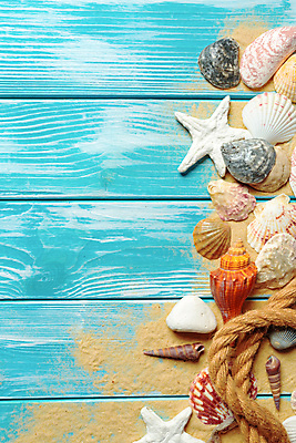 포토 JPG 해외이미지 밧줄 모래 불가사리 사람없음 파란색 조개껍데기 카피스페이스 나무배경 해외202309 해외포토 줄 컬러 백그라운드 조개 극피동물 공백 파일형식