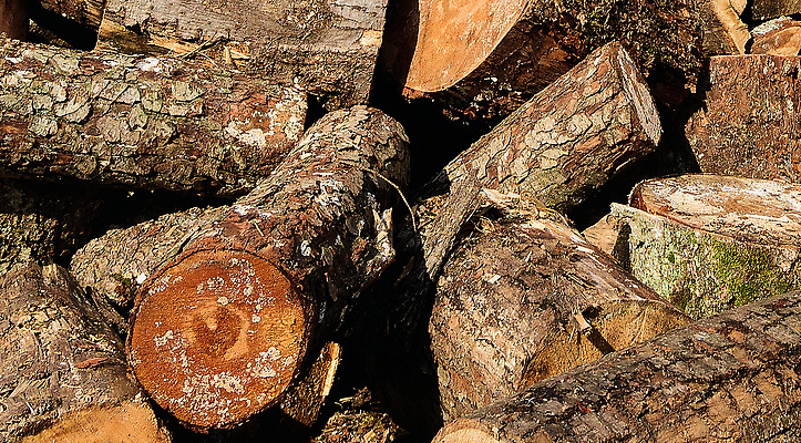 포토 JPG 해외이미지 나무 산업 벽 컬러 백그라운드 겨울 패턴 농업 자연 불 건조 사람없음 야외 목재 갈색 쌓기 마을 환경 블록 에너지 시골 소나무 뜨거움 숲 장작 자르기 천 질감 날것 통나무 나무껍질 연료 자작나무 잡동사니 흙더미 내추럴 수목 옛날 개조 해외202309 해외포토 자연요소 식물 계절 무늬 재료 모션 흙 껍질 직물 생태계 파일형식 더미