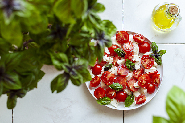 포토 JPG 해외이미지 식물 전통 음식 컬러 잎 다이어트 토마토 부분 탁자 치즈 서브 주택 요리 사람없음 장식 빨간색 초록색 컬러풀 노란색 주방 정원 식사 저녁식사 이탈리아 샐러드 체리 선택 기름 혼합 자르기 허브 타일 향신료 올리브 바질 점심식사 전문 카프레제 플랫레이 해외202309 해외포토 열매 유럽 가구 컨셉 채소 과일 모션 유제품 건강 건물 플랫 향미료 파일형식