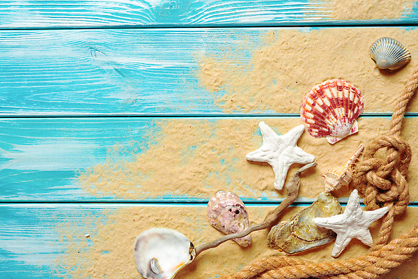 포토 JPG 해외이미지 밧줄 모래 불가사리 사람없음 파란색 조개껍데기 카피스페이스 나무배경 해외202309 해외포토 줄 컬러 백그라운드 조개 극피동물 공백 파일형식