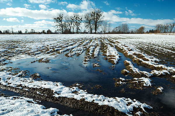 포토 JPG 해외이미지 나무 계절 백그라운드 겨울 밭 자연 하늘 표면 날씨 사람없음 야외 목재 물 파란색 빛 햇빛 뷰티 환경 맑음 냉동 얼음 추위 흰색 시골 신선 위험 홍수 서리 웅덩이 폴란드 내추럴 땅바닥 눈내림 수평선 해외202309 해외포토 자연요소 식물 유럽 컬러 컨셉 농업 재료 바닥 눈_날씨 태양 자연재해 생태계 파일형식
