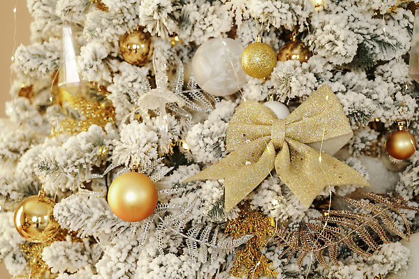 포토 JPG 해외이미지 리본 크리스마스장식 크리스마스 겨울 전구 사람없음 장식 크리스마스트리 금색 화려 분위기 오너먼트 해외포토 계절 기념일 컬러 컨셉 파일형식