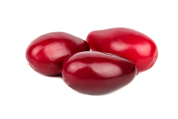 포토 JPG 해외이미지 식물 라이프스타일 열매 음식 컬러 백그라운드 과일 자연 건강 3 사람없음 빨간색 컬러풀 활발 흰색 신선 체리 닫기 달콤 맛 먹기 상쾌 진홍색 내추럴 고립 숙성 크랜베리 해외202309 해외포토 감정 컨셉 모션 생활 생태계 파일형식