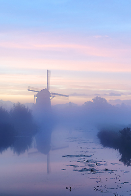 포토 JPG 해외이미지 나무 구름 전통 실루엣 호수 여행 백그라운드 오렌지 자연 하늘 아침 풍경 경사 사람없음 야외 물 여름 파란색 빛 강 태양 뷰티 반사 노란색 일출 일몰 풍차 안개 시골 연못 네덜란드 운하 방앗간 수평선 해외202309 해외포토 주간 자연요소 식물 계절 유럽 컬러 과일 날씨 촬영기법 노을 생태계 파일형식