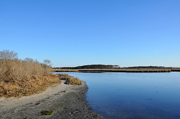 포토 JPG 해외이미지 식물 호수 바다 자연 하늘 잔디 사람없음 야외 물 강 갈색 연못 습지 해외202309 해외포토 자연요소 컬러 생태계 파일형식