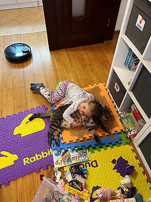 포토 JPG 해외이미지 동물 백인 어린이 가족 놀이 바닥 한명 내부 책 반려동물 컬러풀 장난감 고양이 줄무늬 매트 로봇 솜털 청소부 거짓말 진공 해외202309 해외포토 서양인 직업 1 컬러 무늬 포유류 관계 사람 파일형식