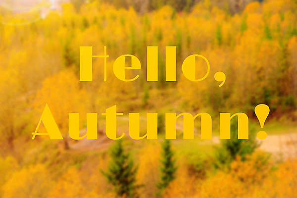 포토 JPG 해외이미지 라이프스타일 디자인 배너 계절 백그라운드 컨셉 단풍 잎 오렌지 텍스트 자연 호박 휴가 주택 따뜻함 사람없음 목재 장식 빛 노란색 축제 할로윈 수확 흰색 시골 축하 인사 신선 신용카드 편안함 담요 9월 11월 추수감사절 10월 구성 해외202309 해외포토 나무 식물 기독교 컬러 농업 채소 과일 재료 건물 생활 금융 예절 감각 날짜 생태계 파일형식