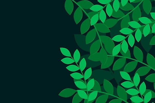 EPS 해외이미지 나무 식물 디자인 꽃 백그라운드 잎 꽃무늬 패턴 일러스트 자연 벽지 추상 수채화 바나나 손바닥 미술 그래픽 장식 초록색 여름 컬러풀 유행 정원 봄 수확 흰색 나뭇가지 직물 인쇄 천 그림 질감 복고 하와이 이국적 파라다이스 하와이인 벡터 알로하 해외202309 해외일러스트 외국인 손 계절 컬러 무늬 농업 과일 문화예술 미국 인사 생태계 파일형식