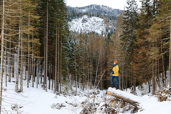 포토 JPG 해외이미지 나무 1 라이프스타일 유럽 여행 겨울 가방 자연 유리 휴가 산 파노라마 한명 사람 취미 야외 빛 햇빛 노란색 여행객 환경 트래킹 하이킹 추위 흰색 숲 사진사 서리 통나무 폴란드 랜드마크 수목 슬로바키아 옛날 해외202309 해외포토 식물 잡화 계절 나라 컬러 재질 레저 촬영기법 생활 태양 작가 생태계 파일형식