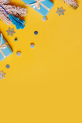포토 JPG 해외이미지 나무 디자인 행복 리본 컬러 백그라운드 컨셉 크리스마스 겨울 휴가 새로움 새해 선물 사람없음 장식 세로 파란색 상자 노란색 파티 축제 나뭇가지 축하 인사 신용카드 황금 플랫 꽃가루 항공촬영 구성 우크라이나 목업 플랫레이 카피스페이스 국경 해외202309 해외포토 식물 계절 기념일 감정 유럽 뷰포인트 이벤트 금융 공백 예절 가루 파일형식