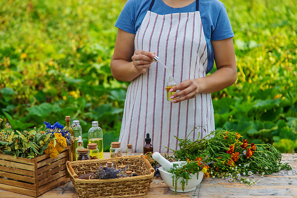 포토 JPG 해외이미지 식물 전통 손 배너 여자 꽃 백그라운드 잎 밭 자연 유리 건강 요리 사람 사람없음 야외 치료 초록색 뷰티 약 모임 물방울 항아리 확대 약초 수집 허브 유기농 해결 내추럴 돌봄 추출 치료제 투입 카피스페이스 해외202309 해외포토 웰빙 컬러 농업 의학 모션 재질 신체부위 공백 도자기 풀_식물 생태계 파일형식