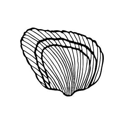 EPS 해외이미지 동물 손 실루엣 야생동물 선 모래 바다 스티커 일러스트 휴가 조개 불가사리 연체동물 나선형 그래픽 물 여름 검은색 수중 껍질 흰색 소라 낙서 스케치 해산물 오브젝트 사인 그림 질감 심플 윤곽 가리비 고립 앵무조개 엘리먼트 이국적 벡터 해외202309 해외일러스트 자연요소 계절 컬러 무늬 어패류 극피동물 무척추동물 촬영기법 미술 신체부위 파일형식