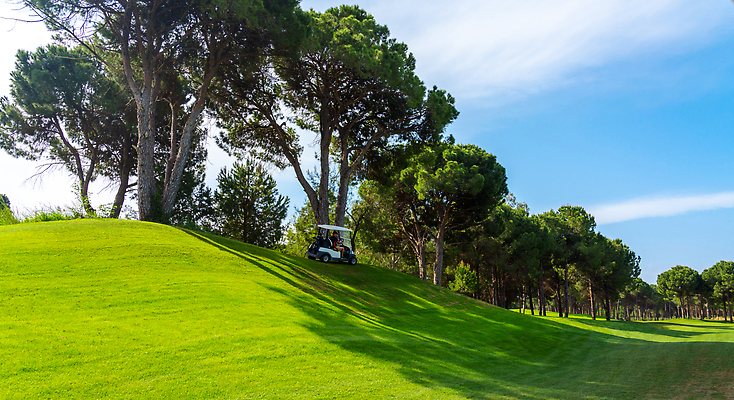 포토 JPG 해외이미지 나무 구름 호수 스포츠 백그라운드 밭 골프 골프장 자동차 놀이 하늘 파노라마 풍경 잔디 사람없음 초록색 물 파란색 햇빛 태양 맑음 카트 골프채 운전 소나무 강의 클럽 휴양지 유모차 칠면조 페어웨이 카피스페이스 비어있는 해외202309 해외포토 자연요소 식물 육상교통 컬러 농업 스포츠시설 모션 조류 날씨 골프용품 촬영기법 구기 공백 장소 아기용품 파일형식