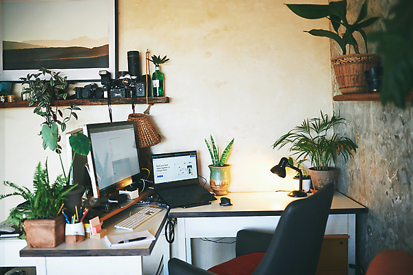 포토 JPG 해외이미지 화분 의자 직장 실내 사람없음 노트북 컴퓨터 사무실 모니터 작업실 책상 플랜테리어 해외202309 해외포토 가구 회사 비즈니스 내부 전자제품 인테리어 파일형식