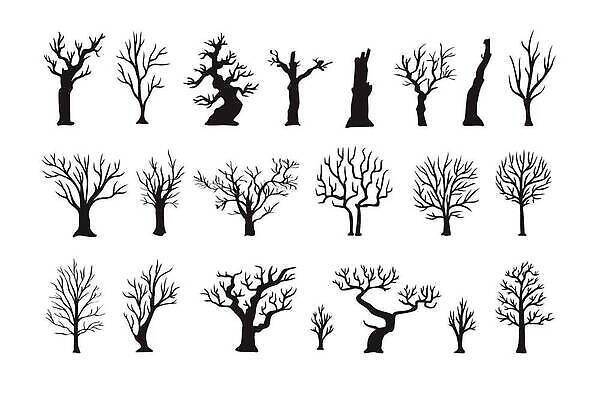 EPS 해외이미지 모양 나무 식물 디자인 계절 실루엣 줄기 백그라운드 낙엽 겨울 꽃무늬 패턴 일러스트 자연 추상 건조 미술 야외 목재 그래픽 장식 세트 검은색 흰색 나뭇가지 죽음 신용카드 플랫 숲 수집 그림 심플 윤곽 내추럴 고립 벌거벗은 엘리먼트 벡터 해외202309 해외일러스트 꽃 컬러 잎 무늬 재료 문화예술 촬영기법 금융 생태계 파일형식