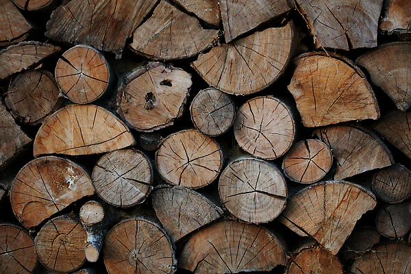 포토 JPG 해외이미지 나무 지구 포즈 가구 백그라운드 패턴 자연 아침 불 추상 프레임 사람없음 목재 장식 물 빛 태양 갈색 평화 환경 보라색 어둠 달력 광선 시골 그룹 변화 황금 널 숲 낟알 책상 속도 질감 추수감사절 내추럴 생태학 옛날 해외202309 해외포토 주간 자연요소 식물 교육 기독교 컬러 생활용품 컨셉 무늬 재료 생태계 파일형식