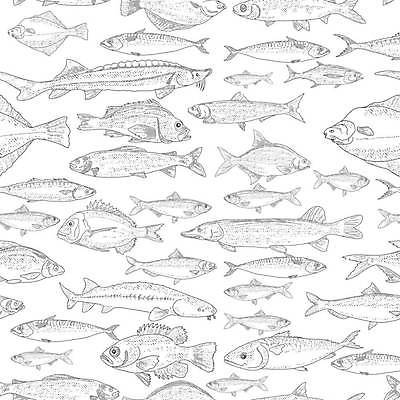EPS 해외이미지 백그라운드 패턴 일러스트 종류 어류 사람없음 다양 빈티지 라인아트 해산물 해외202309 해외일러스트 선 다수 컨셉 무늬 수중동물 파일형식 벡터