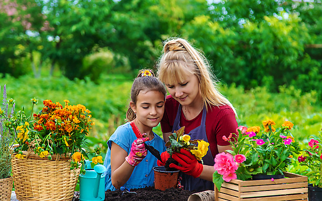 포토 JPG 해외이미지 여자 꽃 화분 어린이 들기 상반신 성인 두명 옆모습 바구니 정원 앞치마 흙 물뿌리개 성장 나무상자 삽 원예 넣기 심기 여자만 해외202309 해외포토 식물 뷰포인트 모션 사람 취미 상자 파일형식