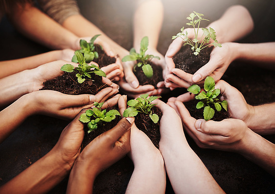 포토 JPG 해외이미지 손 들기 신체부위 새싹 자연보호 희망 흙 성장 손모으기 해외202309 해외포토 식물 감정 모션 자연 사람 손짓 보호 파일형식