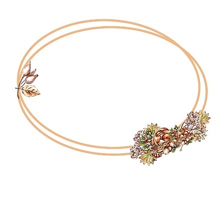 JPG 해외이미지 꽃 잎 일러스트 프레임 사람없음 원형 해외202309 해외일러스트 도형 식물 파일형식