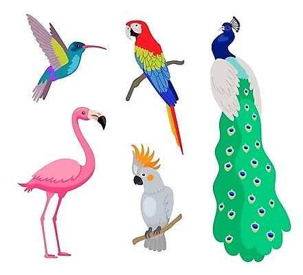 EPS 해외이미지 식물 동물 야생동물 분홍색 컬러 여행 백그라운드 컨셉 날개 일러스트 자연 조류 휴가 생물 동물원 앉기 여름 세트 컬러풀 뷰티 흰색 나뭇가지 공작 만화 수집 플라밍고 깃털 하와이 앵무새 고립 동물상 벌새 이국적 파라다이스 벡터 해외202309 해외일러스트 나무 계절 모션 조형물 미국 생태계 파일형식