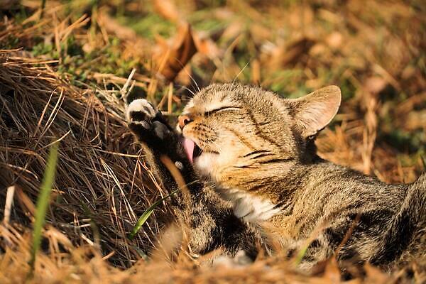 포토 JPG 해외이미지 사람없음 해외202309 해외포토 파일형식