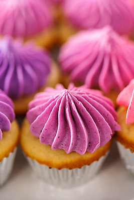 포토 JPG 해외이미지 사람없음 장식 보라색 달콤 컵케이크 휘핑크림 해외202309 해외포토 컬러 케이크 맛 크림 휘핑 파일형식